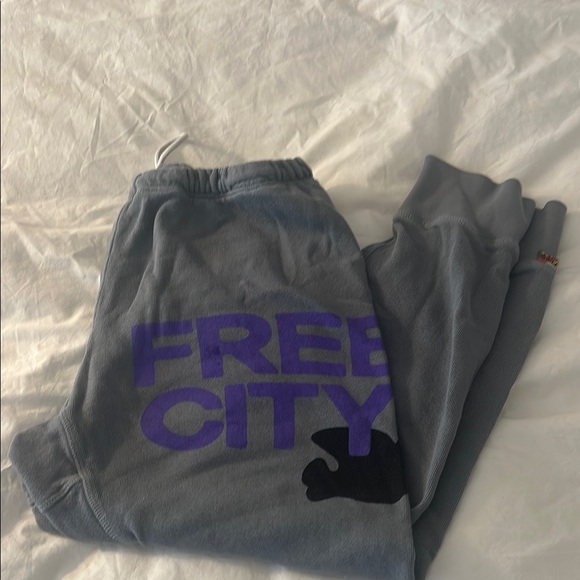 Free City Grey Sweatpants with Purple Print - Picture 1 of 3